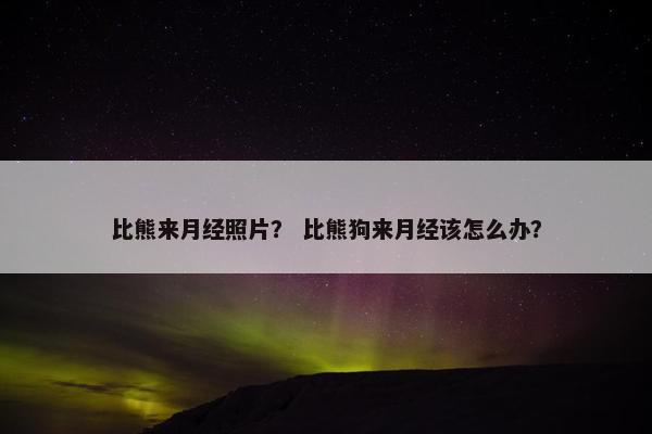 比熊来月经照片？ 比熊狗来月经该怎么办？