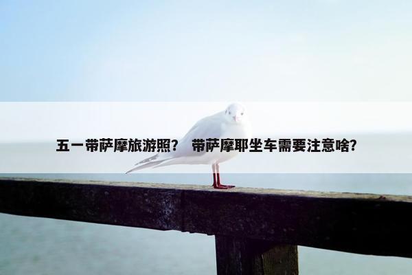 五一带萨摩旅游照？ 带萨摩耶坐车需要注意啥？