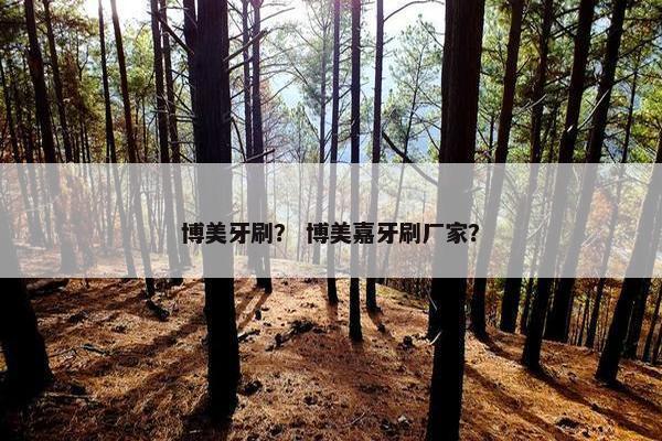 博美牙刷？ 博美嘉牙刷厂家？