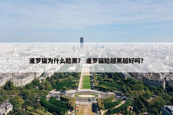 暹罗猫为什么脸黑？ 暹罗猫脸越黑越好吗？