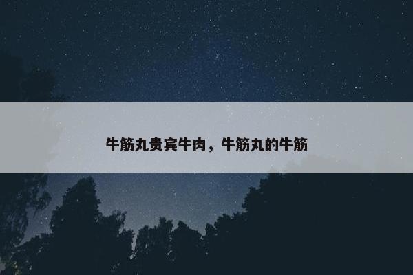 肉丸