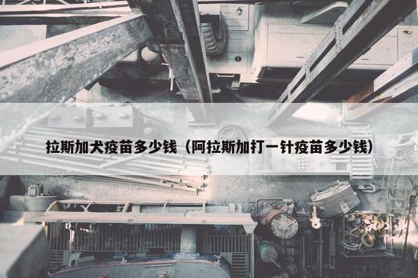 拉斯加犬疫苗多少钱（阿拉斯加打一针疫苗多少钱）
