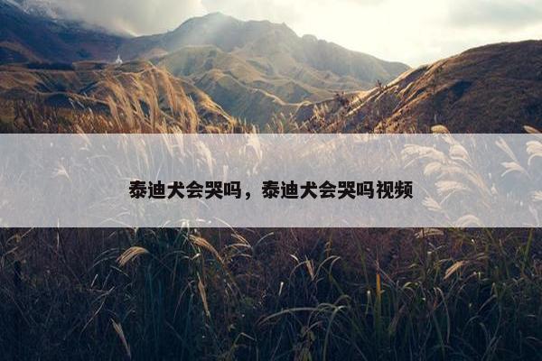 泰迪 第20页