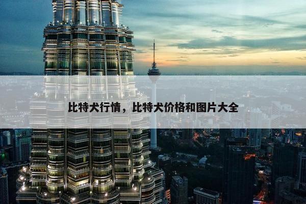 比特犬行情，比特犬价格和图片大全