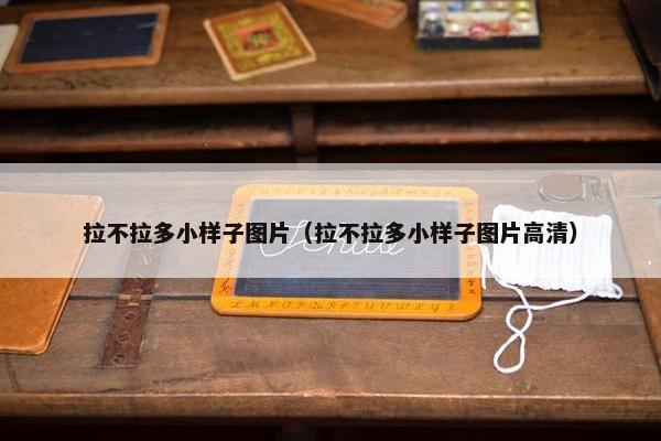 拉不拉多小样子图片（拉不拉多小样子图片高清）