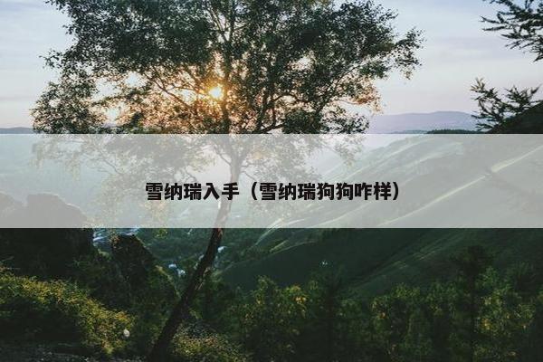 雪纳瑞入手（雪纳瑞狗狗咋样）