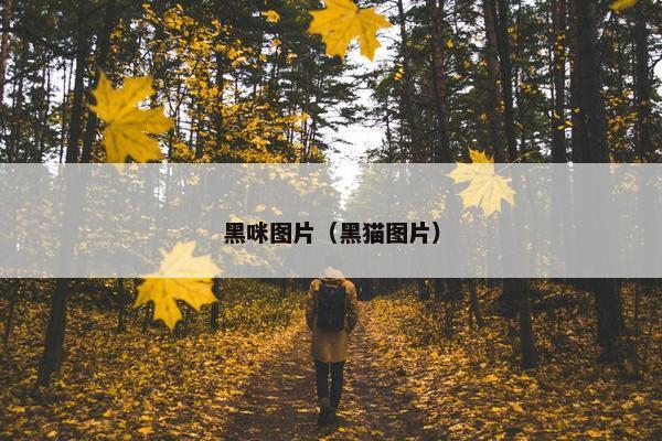 字体