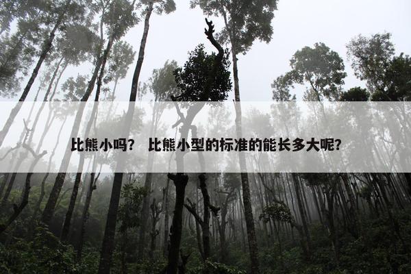 比熊小吗？ 比熊小型的标准的能长多大呢？