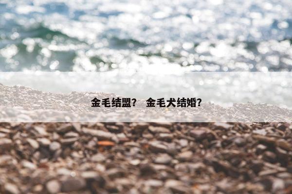 金毛结盟？ 金毛犬结婚？