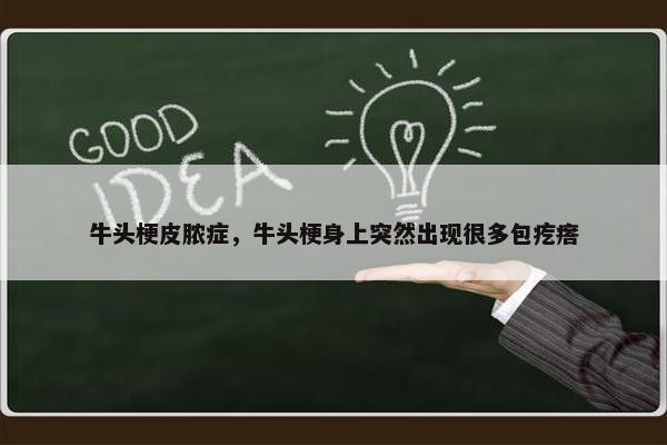 牛头梗皮脓症，牛头梗身上突然出现很多包疙瘩