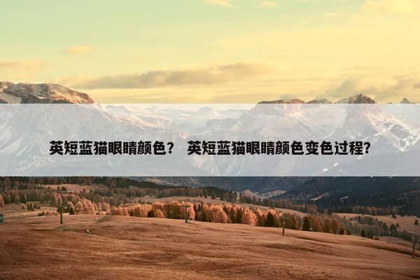 英短蓝猫眼睛颜色？ 英短蓝猫眼睛颜色变色过程？