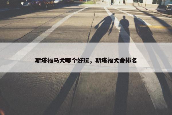 斯塔福马犬哪个好玩，斯塔福犬舍排名