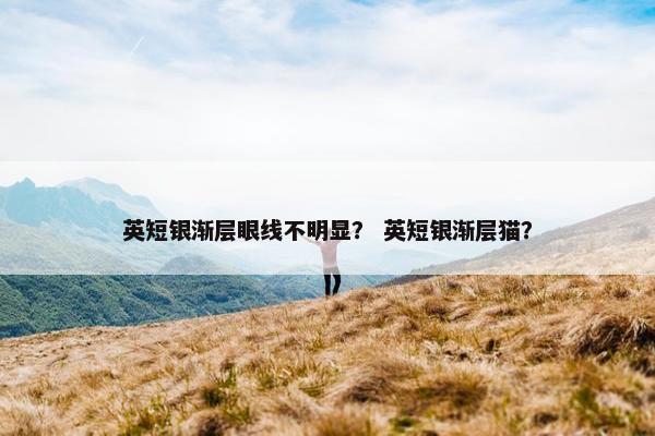 英短银渐层眼线不明显？ 英短银渐层猫？