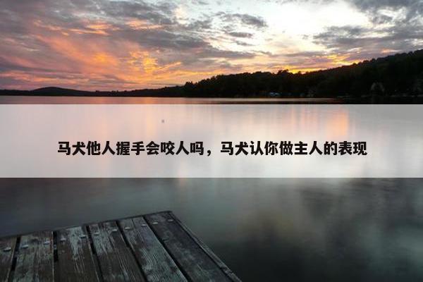 马犬 第6页