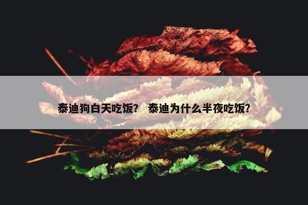 泰迪狗白天吃饭？ 泰迪为什么半夜吃饭？