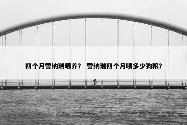 四个月雪纳瑞喂养？ 雪纳瑞四个月喂多少狗粮？