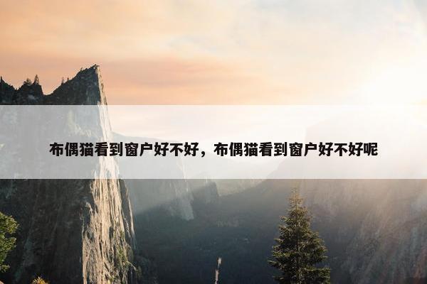 布偶猫看到窗户好不好，布偶猫看到窗户好不好呢