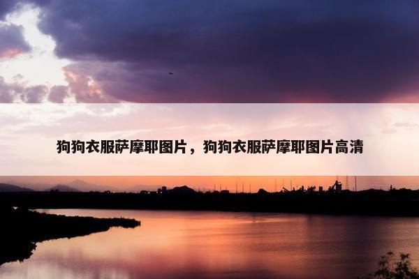 狗狗衣服萨摩耶图片，狗狗衣服萨摩耶图片高清