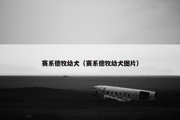 赛系德牧幼犬（赛系德牧幼犬图片）