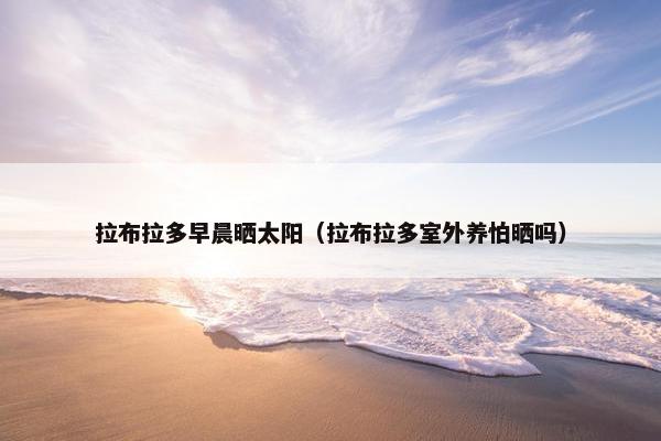 拉布拉多早晨晒太阳（拉布拉多室外养怕晒吗）