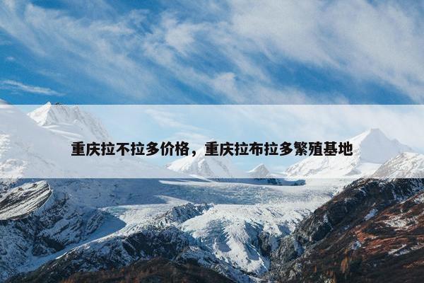 重庆拉不拉多价格，重庆拉布拉多繁殖基地
