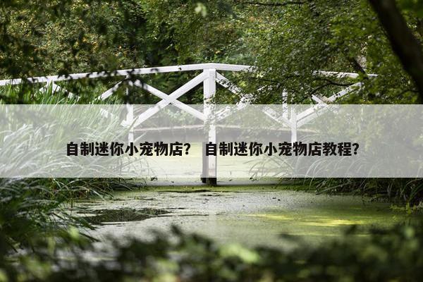 自制迷你小宠物店？ 自制迷你小宠物店教程？