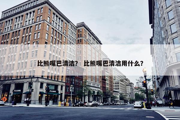 比熊嘴巴清洁？ 比熊嘴巴清洁用什么？