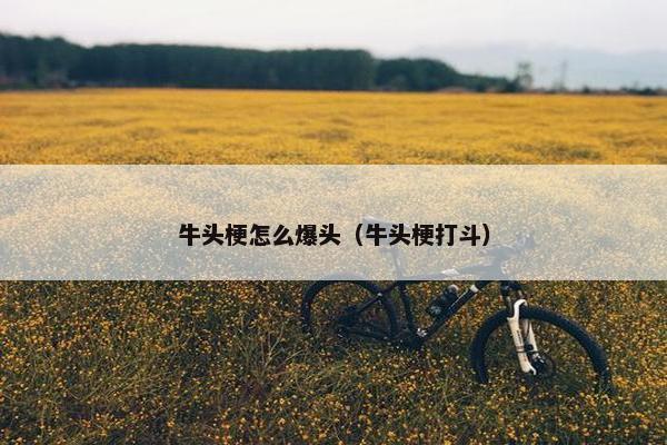 牛头梗怎么爆头（牛头梗打斗）