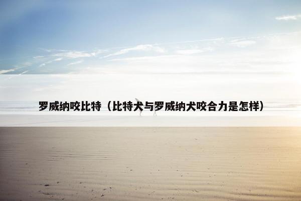 罗威纳咬比特（比特犬与罗威纳犬咬合力是怎样）