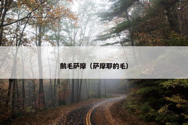 鹅毛萨摩（萨摩耶的毛）