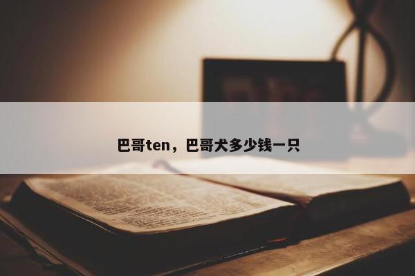 巴哥ten，巴哥犬多少钱一只