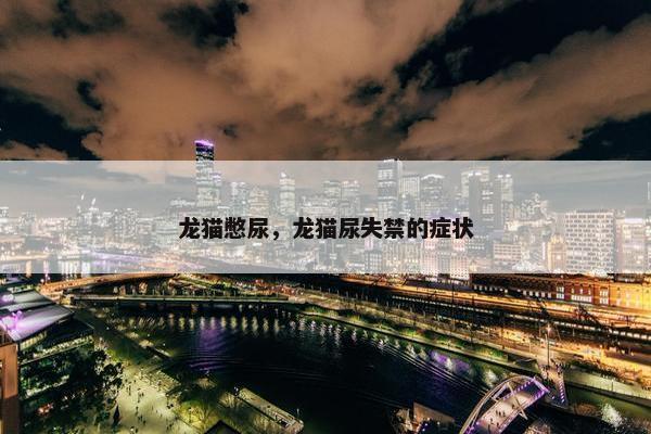 龙猫憋尿，龙猫尿失禁的症状