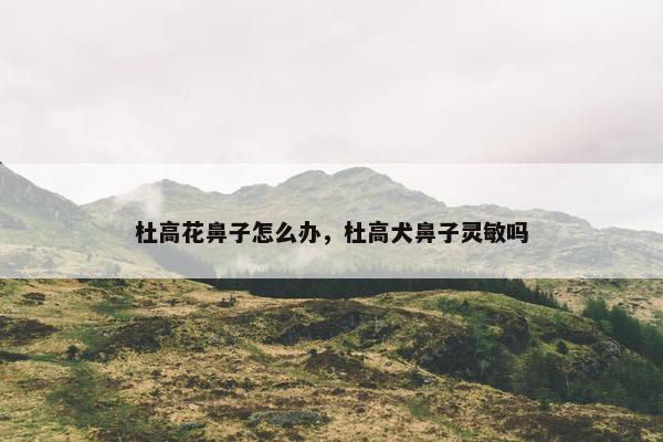 杜高花鼻子怎么办，杜高犬鼻子灵敏吗