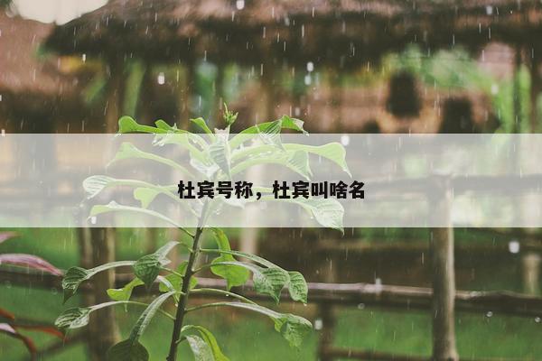 杜宾号称，杜宾叫啥名