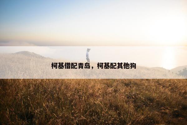 柯基借配青岛，柯基配其他狗
