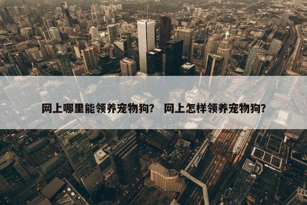 网上哪里能领养宠物狗？ 网上怎样领养宠物狗？