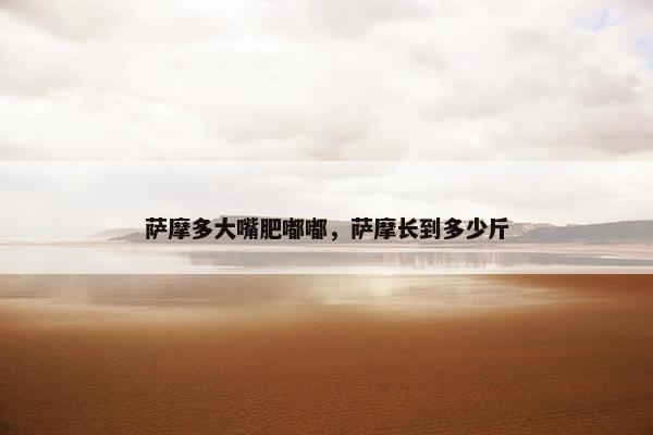 萨摩多大嘴肥嘟嘟，萨摩长到多少斤