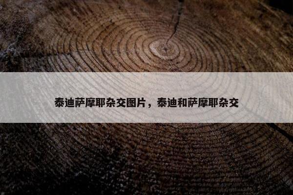 泰迪萨摩耶杂交图片，泰迪和萨摩耶杂交