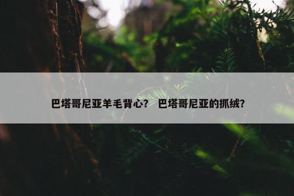 巴塔哥尼亚羊毛背心？ 巴塔哥尼亚的抓绒？