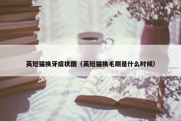 英短猫换牙症状图（英短猫换毛期是什么时候）