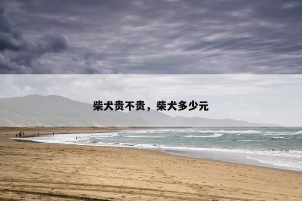 柴犬贵不贵，柴犬多少元