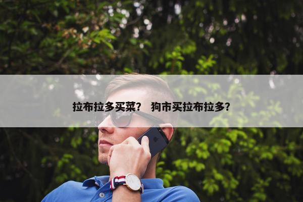 拉布拉多买菜？ 狗市买拉布拉多？