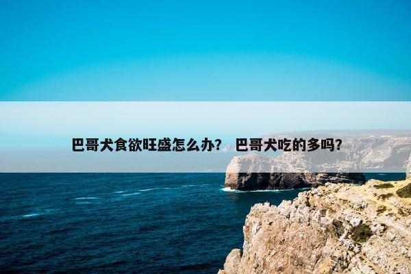 巴哥犬食欲旺盛怎么办？ 巴哥犬吃的多吗？
