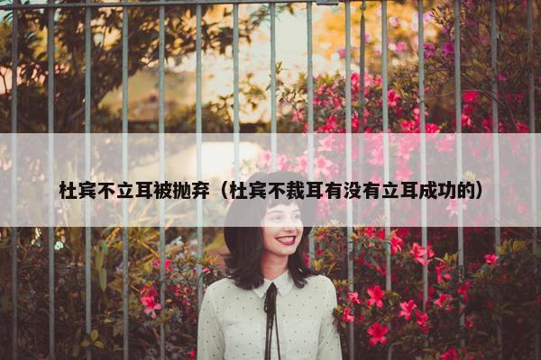 杜宾不立耳被抛弃（杜宾不裁耳有没有立耳成功的）