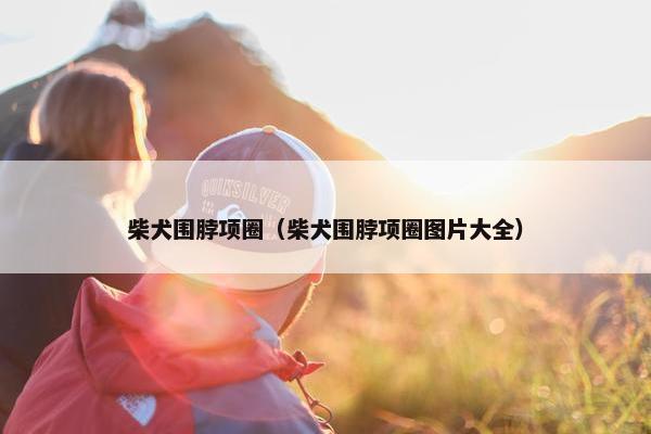 柴犬围脖项圈（柴犬围脖项圈图片大全）