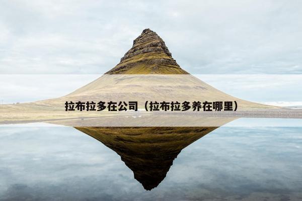 宝马