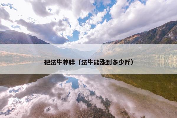 把法牛养胖（法牛能涨到多少斤）