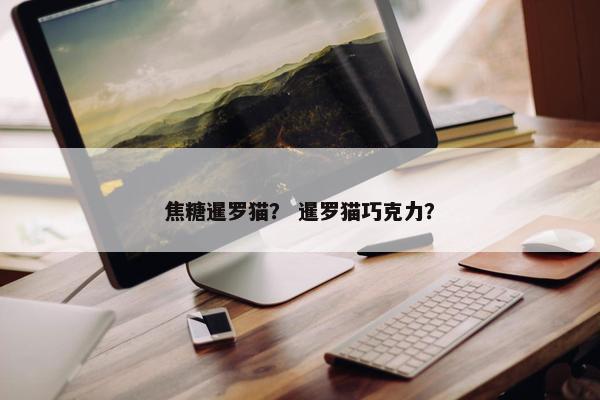 焦糖暹罗猫？ 暹罗猫巧克力？