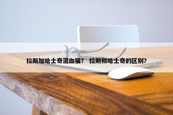 拉斯加哈士奇混血猫？ 拉斯和哈士奇的区别？