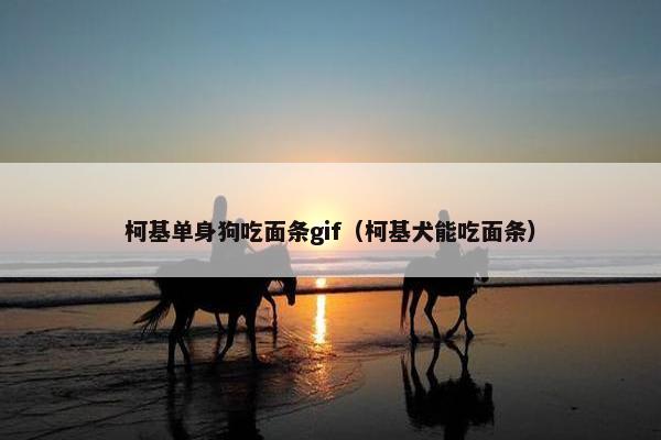 柯基单身狗吃面条gif（柯基犬能吃面条）